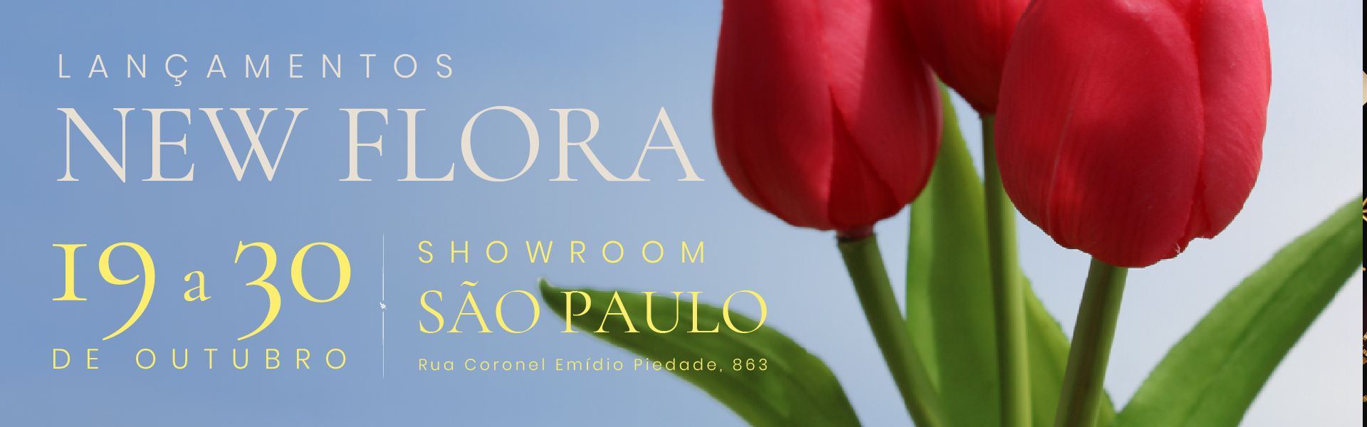 assets/images/banner/1790972431-imagem_desktop.webp